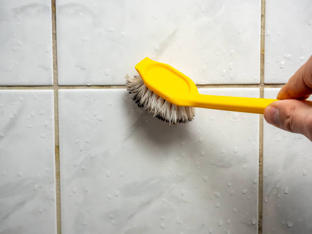 Best Professional Mold Removal  in Church Rock, NM