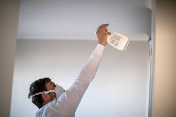 Best Professional Mold Removal  in Church Rock, NM