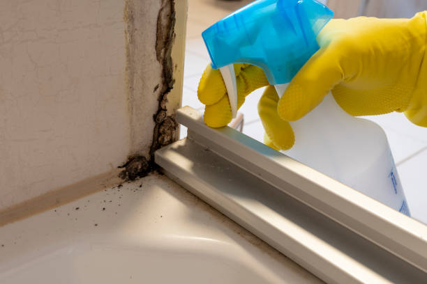 Water Damage Restoration in Church Rock, NM